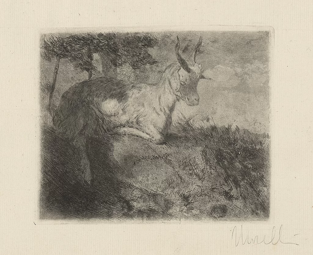 La capretta - National Gallery of Art